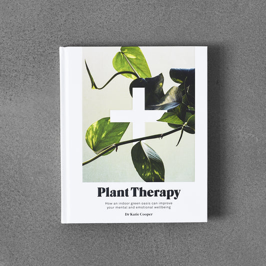 Plant Therapy : How an Indoor Green Oasis Can Improve Your Mental and Emotional Wellbeing