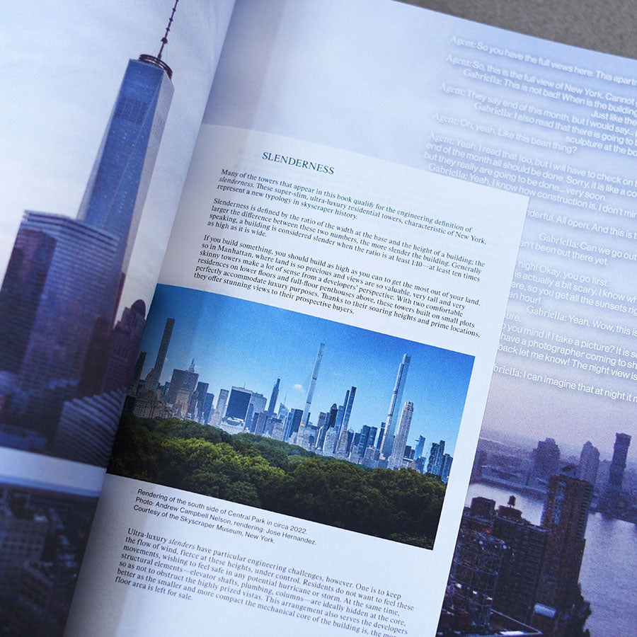 Private Views: A High-Rise Panorama of Manhattan - Andi Schmied