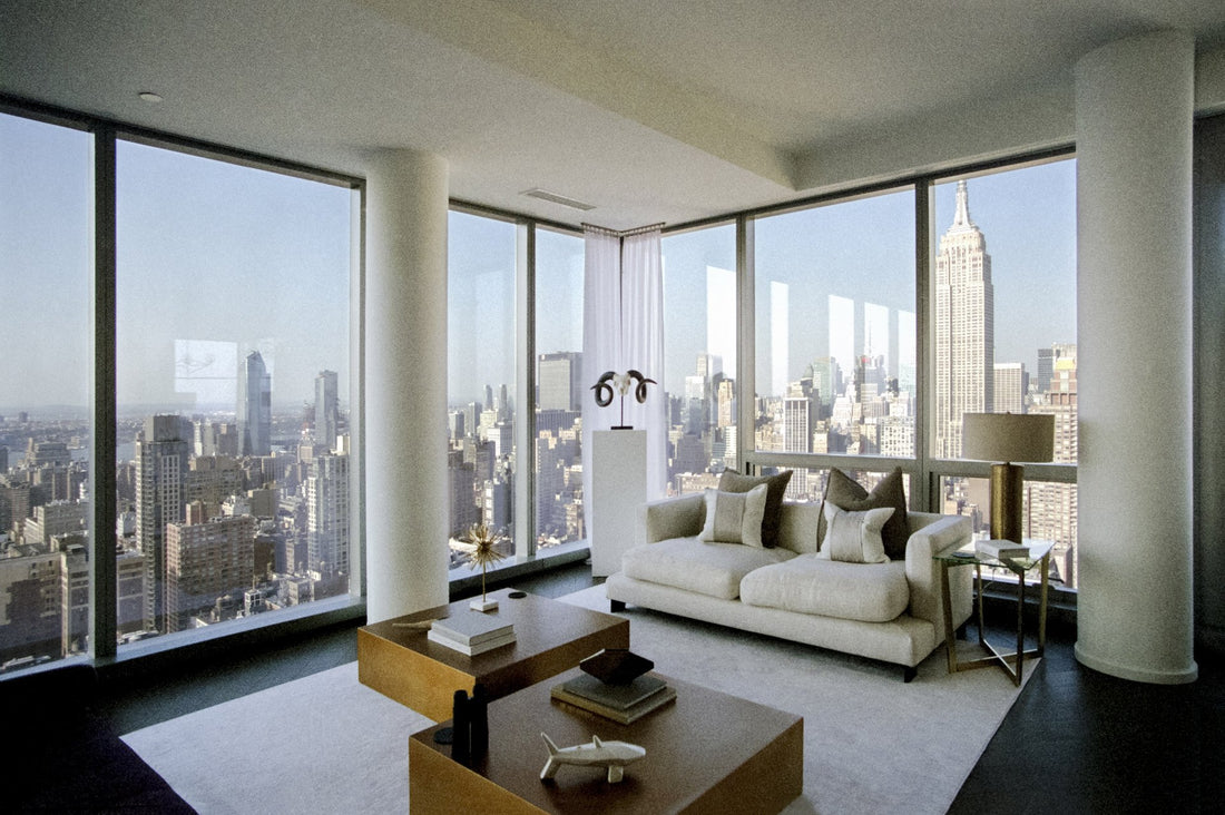 Private Views: A High-Rise Panorama of Manhattan - Andi Schmied
