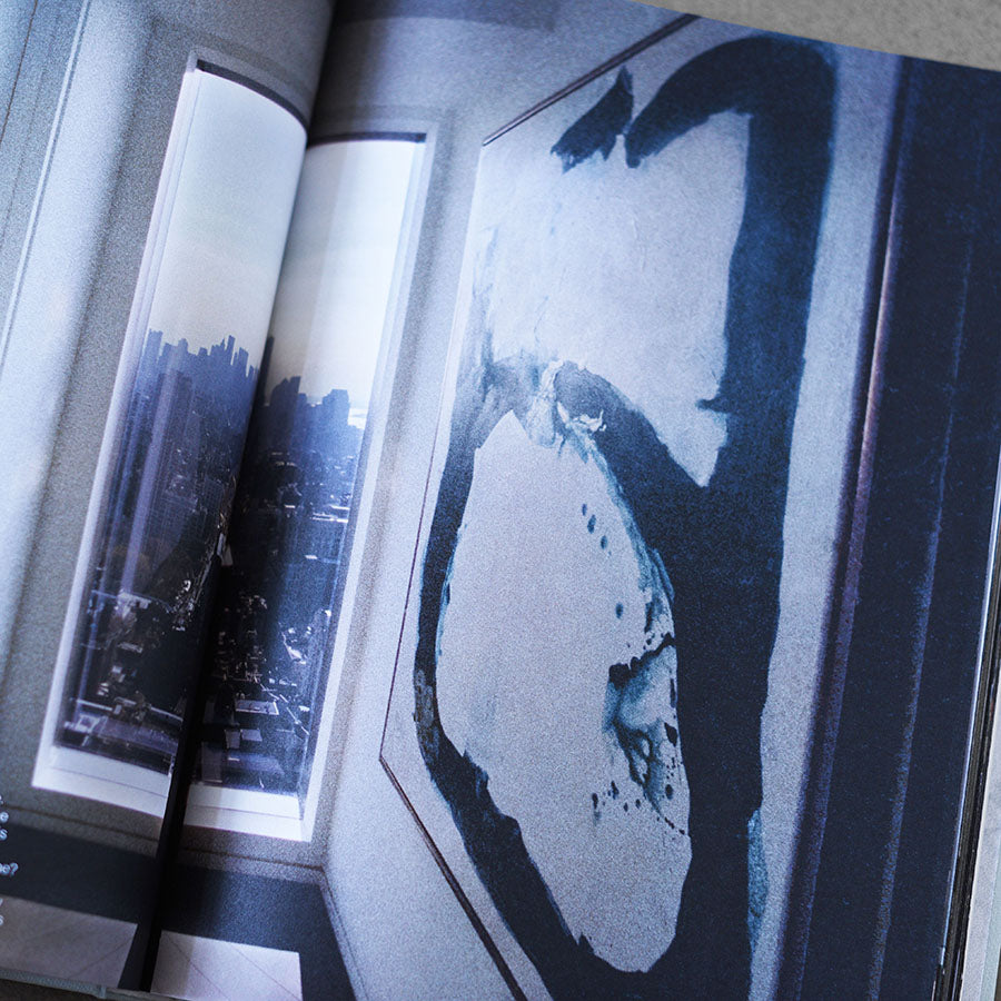 Private Views: A High-Rise Panorama of Manhattan - Andi Schmied