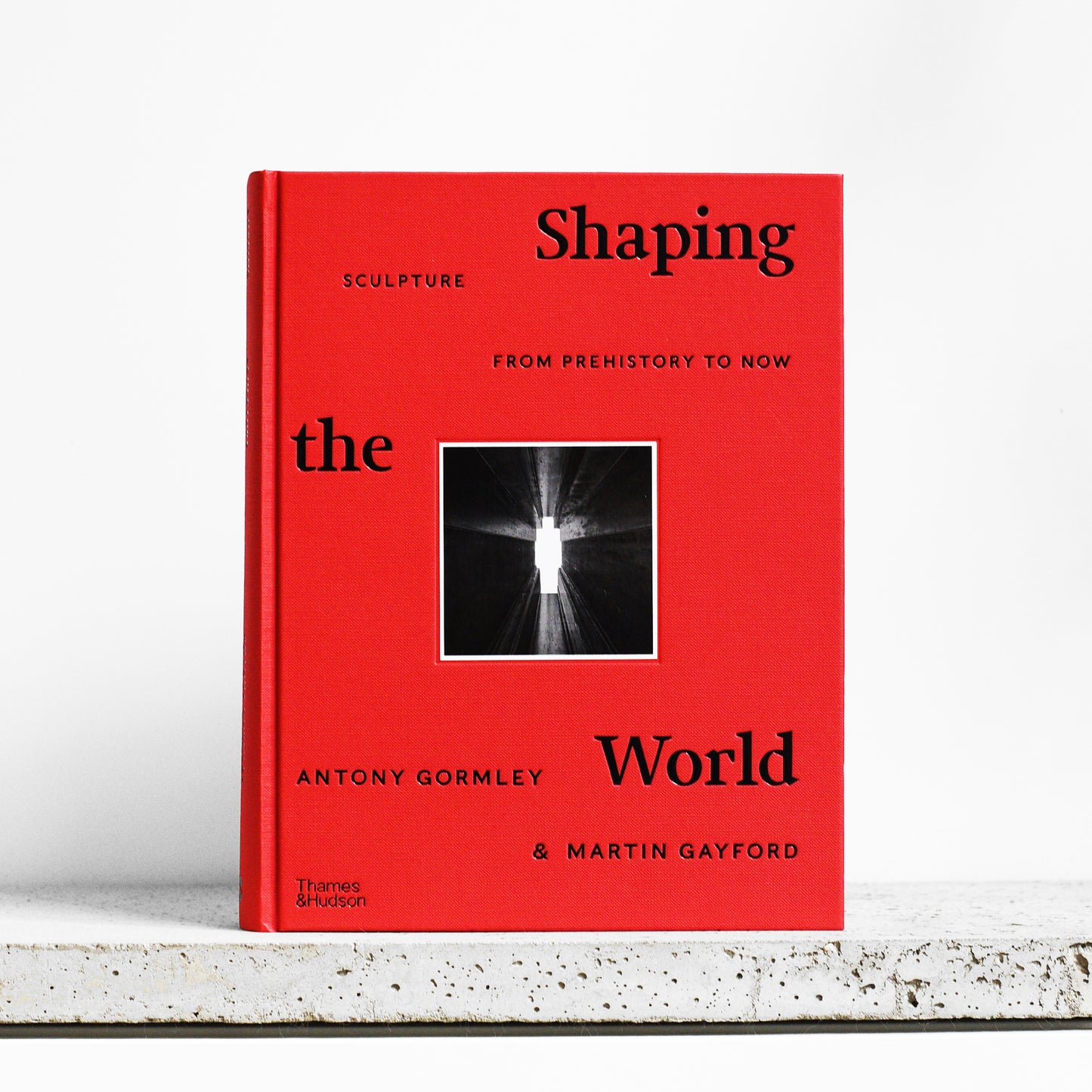 Shaping the World: Sculpture from Prehistory to Now - Antony Gormley, Martin Gayford