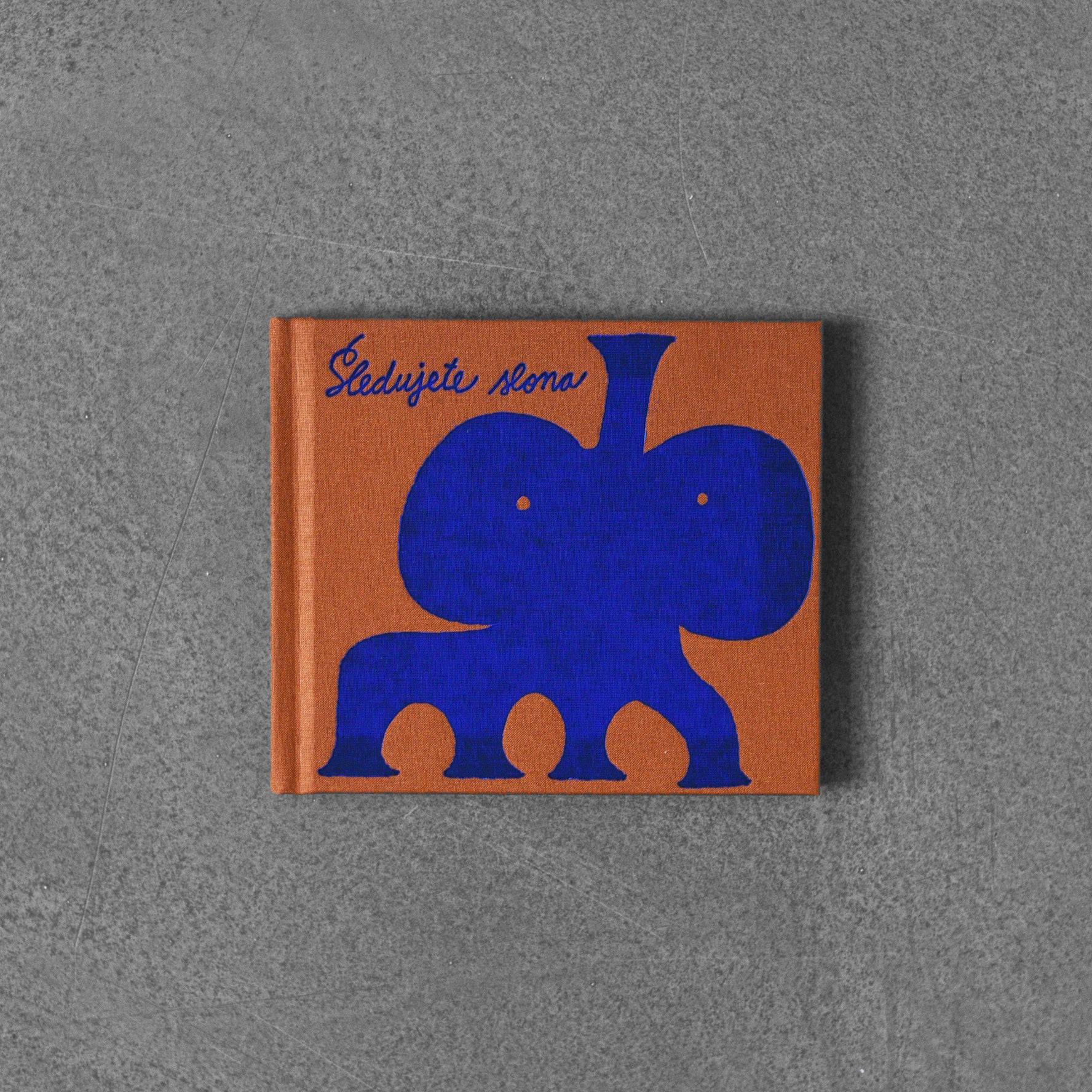 Sledujte slona - Jakub Plachý