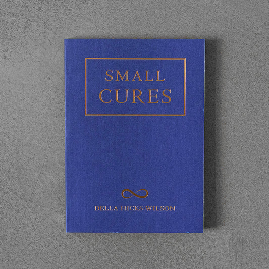 Small Cures – Della Hicks-Wilson