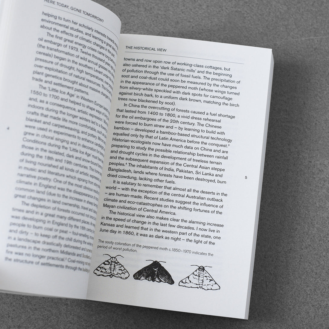 Green Imperative : Ecology and Ethics in Design and Architecture