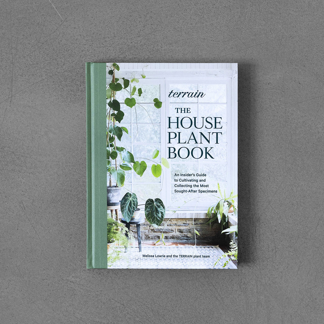 terrain house plants Terrain: The Houseplant Book