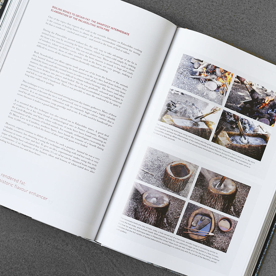 Origins of Cooking : Palaeolithic and Neolithic Cooking Bullipedia