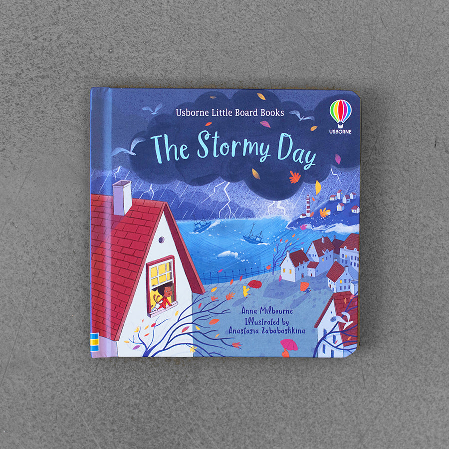 Stormy Day: Usborne Little Board Books