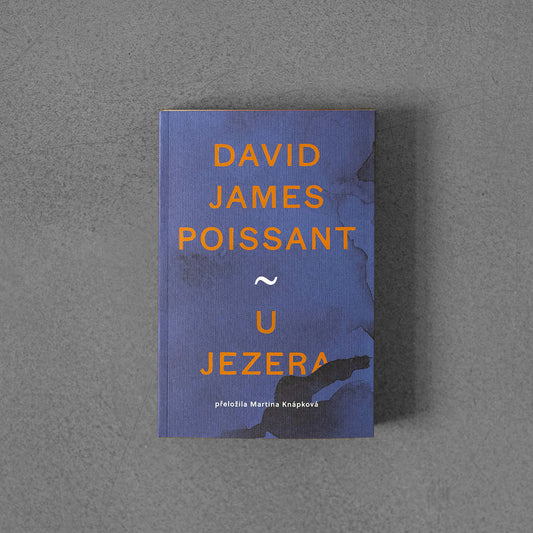 U jezera - David James Poissant