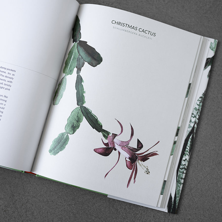 urban botanics an indoor plant guide for modern gardeners Urban Botanics: An Indoor Plant Guide for Modern Gardeners