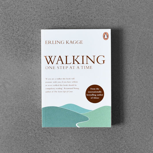 Walking One Step At a Time - Erling Kagge
