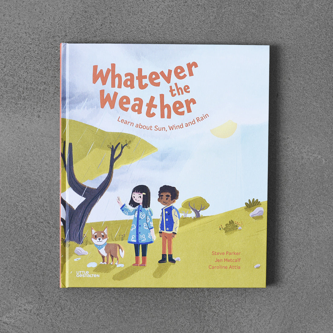 Whatever The Weather