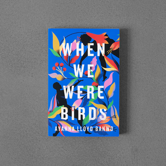 When We Were Birds – Yanna Lloyd Banwo