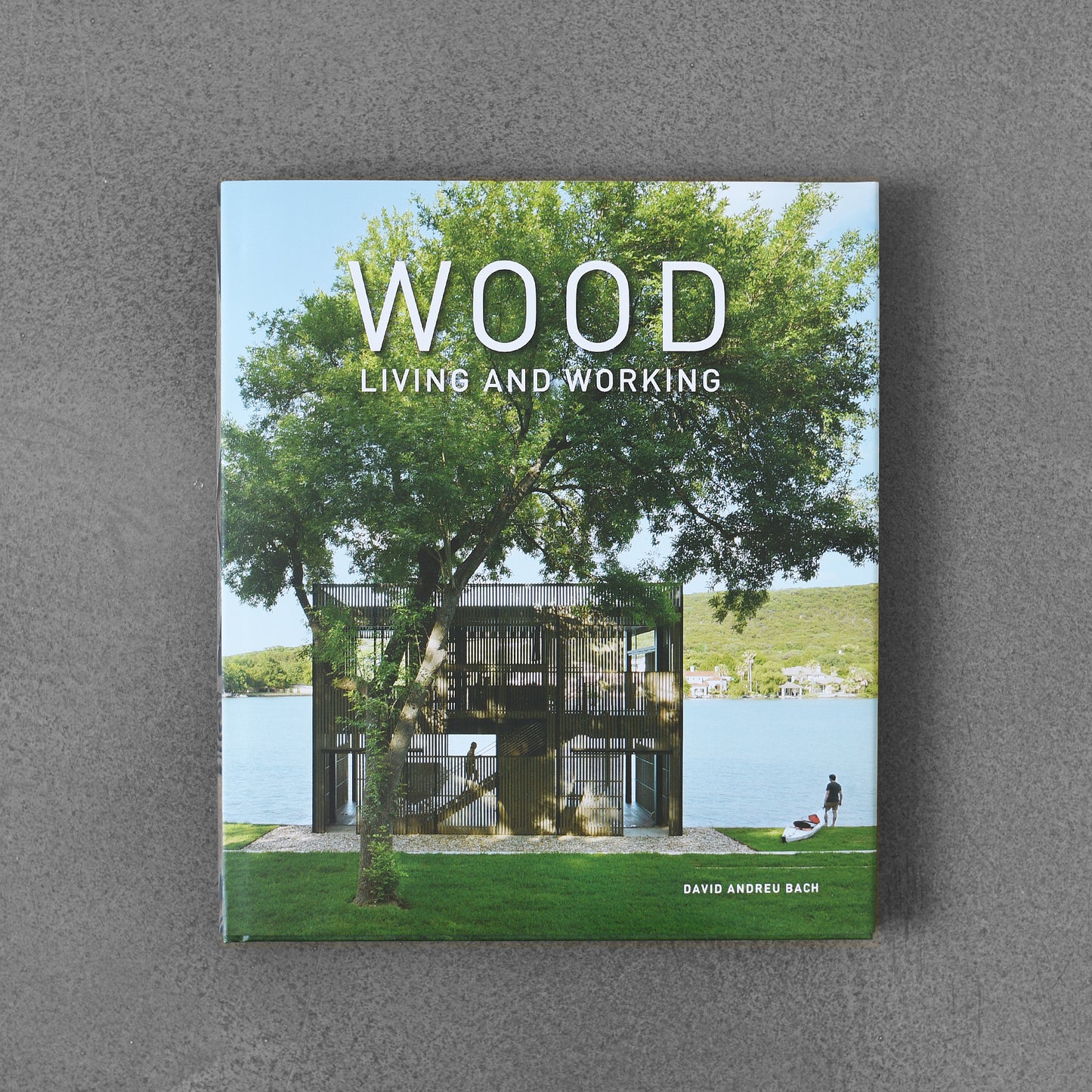 Wood: Living and Working - David Andreu Bach