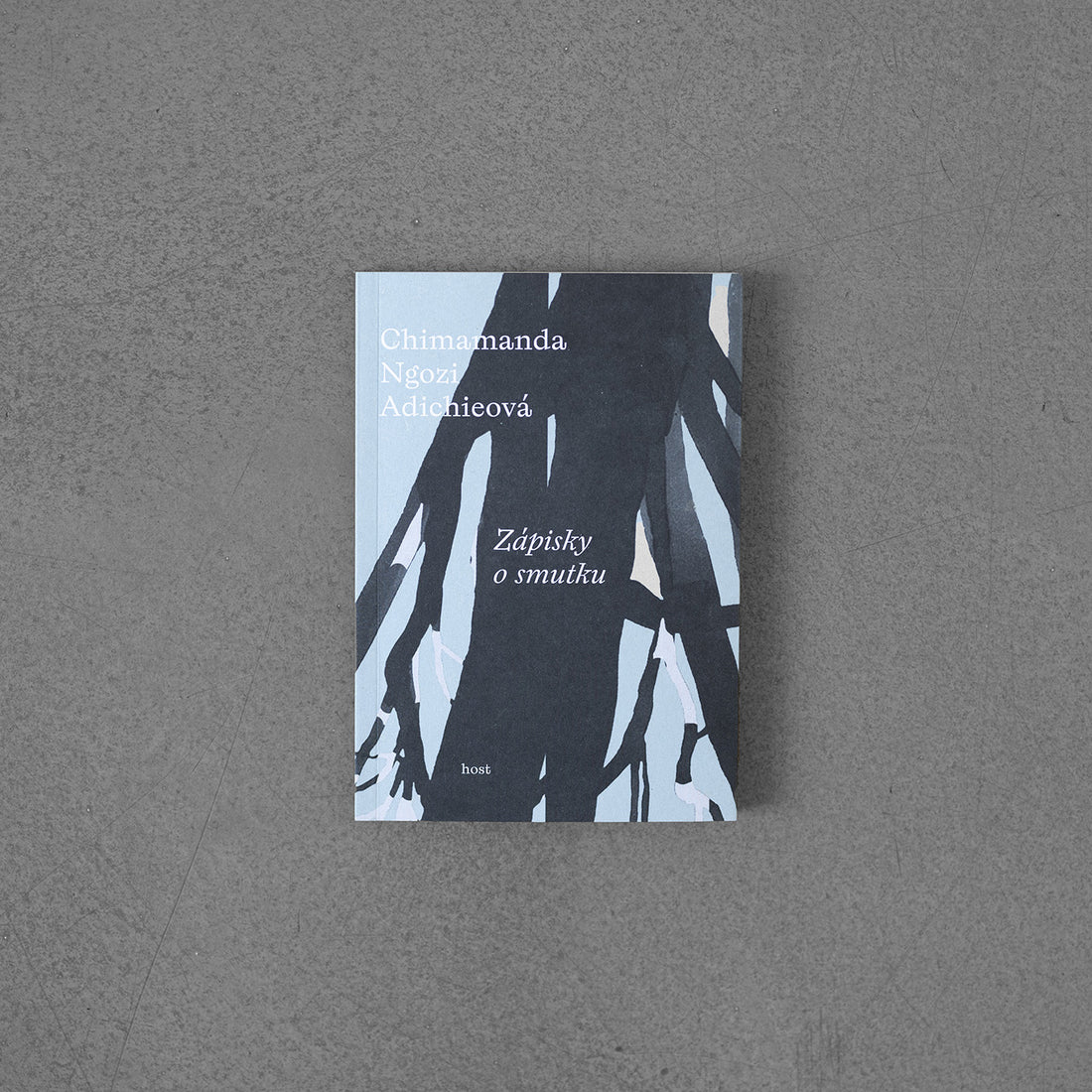 Zápisky o smutku - Chimamanda Ngozi Adichie